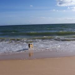 Charmante Villa mit 4 Schlafzimmer, Wlan und Zentralheizung