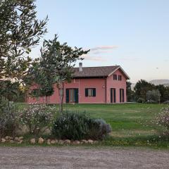 PODERE GRETANO casetta in maremma