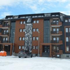 Vila Golija VM Apartment