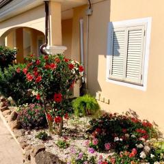 Casa Dolce Hibiscus