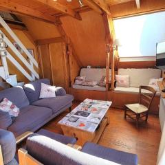 Chalet cosy 9 pers. avec balcon Sud, poêle à bois, Wi-Fi, proche pistes - Saint-Michel-de-Chaillol - FR-1-393-143