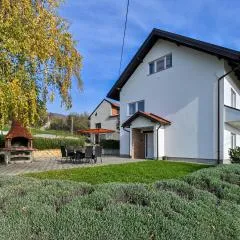 Amazing Home In Petrova Gora With Sauna