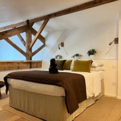 Castor Coquin Aubagne Cassis Aix en Provence