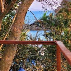 Nosso lar na Ferradurinha