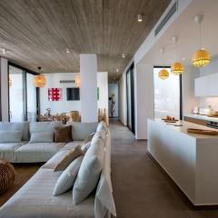 Magic Cave Villa in Tinos