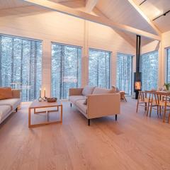 Arctic Design Villa Levi