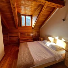 Spacious apartment Zimska Idila with fantastic Bjelašnica panorama
