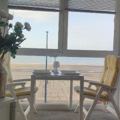 Vue Panoramique FACE MER