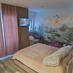 Snowman Studio Apartment Jahorina