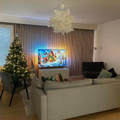 Spacious Family Home with sauna & Free parking near SCV