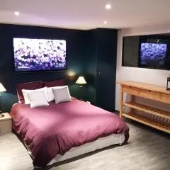 Appartement au bord de la Sèvre Nantaise