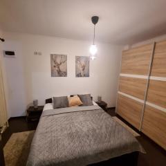 Mountain Nest Sinaia