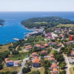 Two-Bedroom Apartment In Banjole