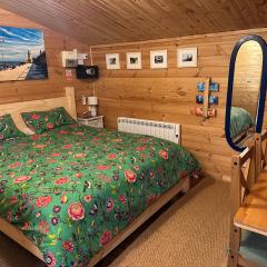 Cosy Cabin, hidden from the main house - Sleeps 2 - EV