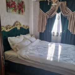 Apartament ultracentral Classic Vibe