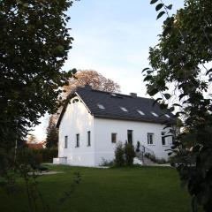 Haus mit Pool, Garten und Gym in Berlin