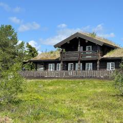 Amazing Home In Nissedal With Lake View