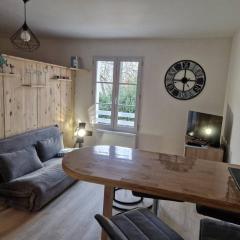 Appartement studio Pompon, Wifi, 2 couchages, charme, centre historique