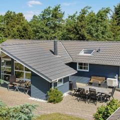Holiday Home Bakkedraget Blåvand X