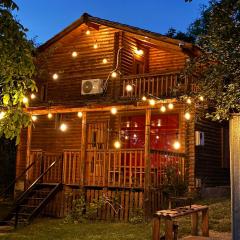 Villzone vila in Prishtina with big garden