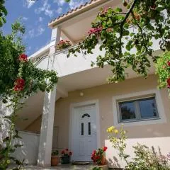 Apartments Ana