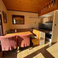 Appartement cosy, 6 pers, 2 chambres, mezzanine, balcon sud, ski, La Chapelle-d'Abondance - FR-1-692-82