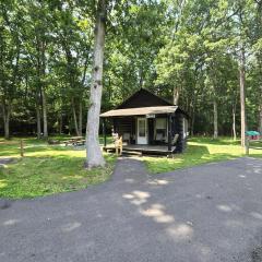 Swallow Falls Cabin 2