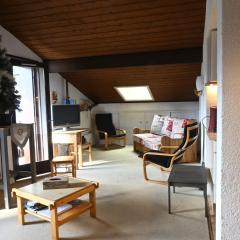 Confortable 3 pièces, 6 pers, balcon sud, proche télésiège, animaux OK, parking, WiFi - FR-1-676-202