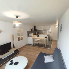 Appartement T2 centre de Lourdes