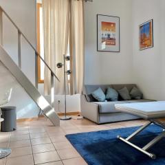 Appartement terrasse centre,