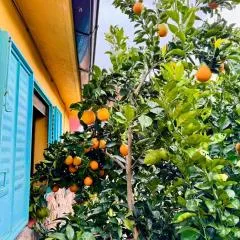 Casa Rural Las Gesillas
