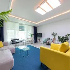 속초 비로소 봄