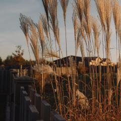 Seaside Apartments Roja