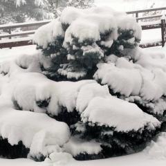appartamento signorile con giardino