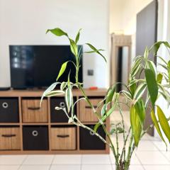 Le Gîte Ohana - Proches des plages et jardin privé