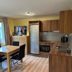 cosy appt 6 beds dans residence MMV