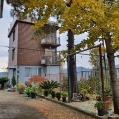 GT House Batumi