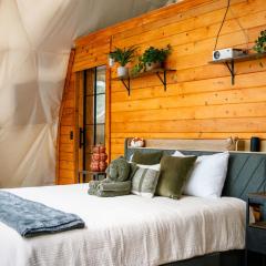 The Ellijay Turtle House