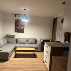 Apartament 1 Cameră Suceava
