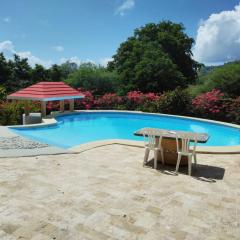 Estudio Jardín Escondido