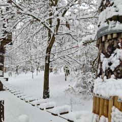 Zöld Relax Apartments