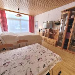 Apartment Theresia by FiS - Fun in Styria