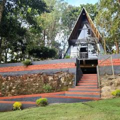 Wild root stay- Orchid Chalet