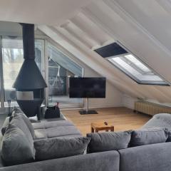 Ferienwohnung am Rheinpark