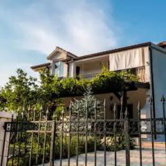 House of Green Experience