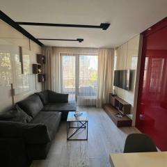 The Mirror Apartment