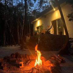 Casa Dharma House in the jungle