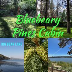 BLUEBEARY PINES-PERFECT ESCAPE-PRIVATE HOT TUB-WALK to SKI SHUTTLES