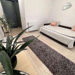 Olive - a fresh beginning