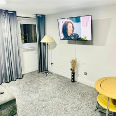 Luxury two bedroom skyline views Apartment